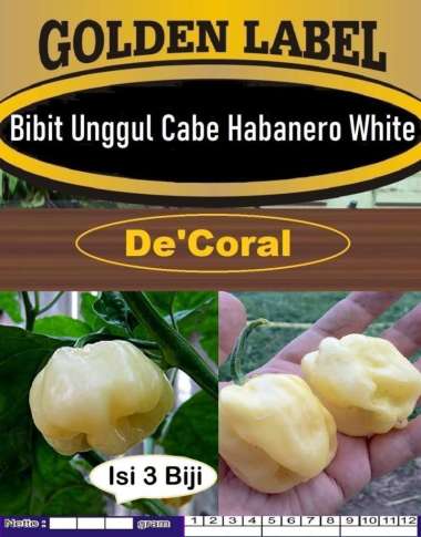 Bibit Unggul Cabe Habanero White | Biji Benih Cabe Habanero Putih