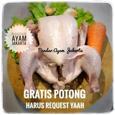 Ayam Potong Frozen uk8/800-900gr potong 10