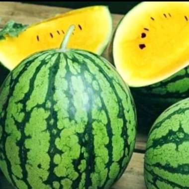 Semangka Kuning Lokal Buah Segar IbazafruitsBOX - 1 butir utuh Buah Semangka Kuning