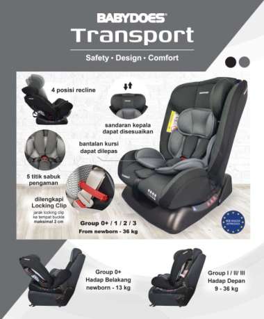 Babydoes Car Seat Transport Multicolor