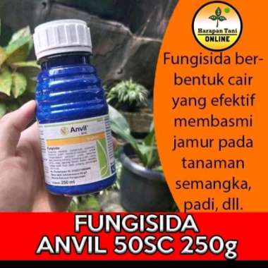 Fungisida Anvil Efektif membasmi jamur pada tanaman padi dll
