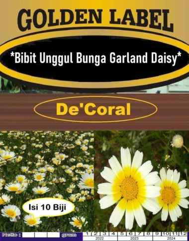 Bibit Unggul Bunga Garland Daisy|Benih Bunga Garland Daisy|Bunga Daisy
