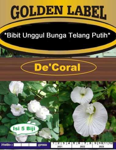 Bibit Unggul Bunga Telang Putih|Benih Bunga Telang|Kembang Telang