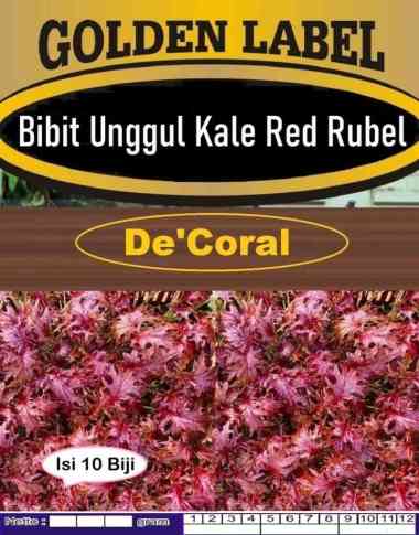 Bibit Unggul Kale Red Rubel | Biji Benih Kale Merah Rubel