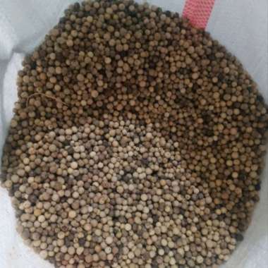 Lada Hitam 1 Kg Fresh