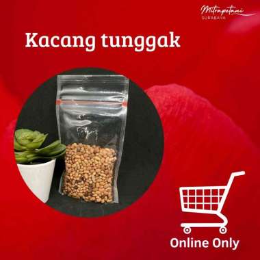 Kacang tunggak,kacang tolo,kacang otok,kacang tolo tunggak