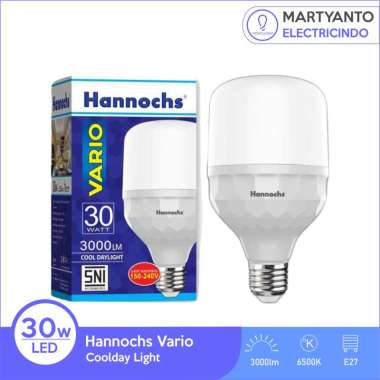 Hannochs Vario Lampu LED 30 Watt Warna putih