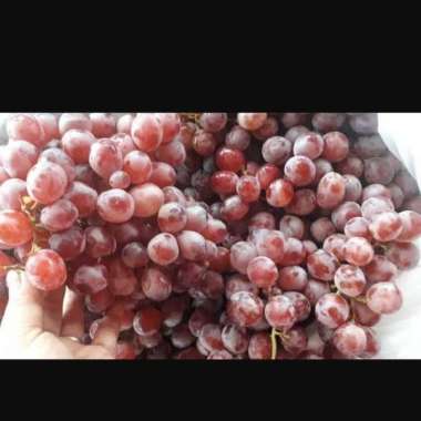 Buah Anggur Merah 1 kg