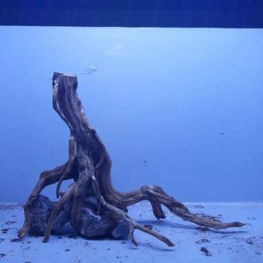 hardscape aquascape low 092 Multicolor