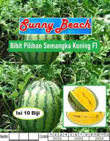 Bibit Pilihan Semangka Kuning F1|Biji Benih Semangka Kuning|Semangka