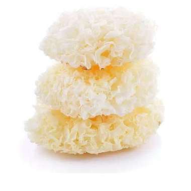 Jamur kuping jamur putih jamur salju 50g