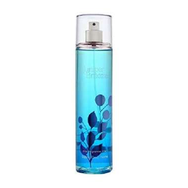 Bath & Body Works Bath & Body Works Juniper Breeze