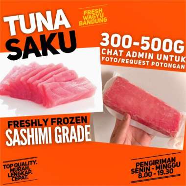 TUNA SAKU SASHIMI SUSHI GRADE IMPOR PREMIUM Ikan Tuna Fillet No Duri 301-400g