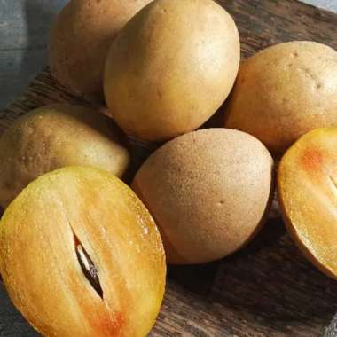 Sawo Manila Madu Buah Segar Ibaza fruitsBOX - 1 kg Buah Sawo