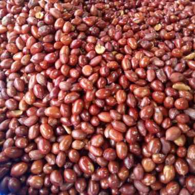 Kacang tanah goreng sangrai mateng Giling Halus - 1 kg