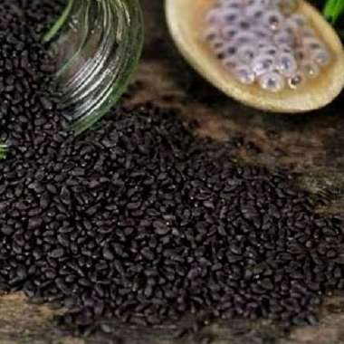 biji selasih 1 kg