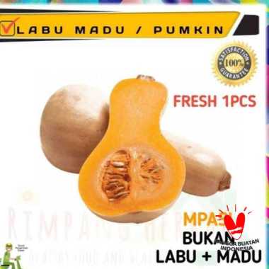 labu madu / pumkin butternut / 1 buah segar SEDANG
