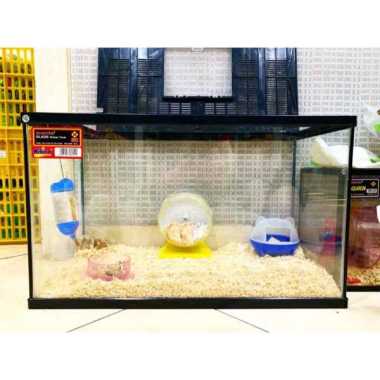 PAKET KANDANG HAMSTER RUMAH HAMSTER BESAR HAMSTER SYRIAN WINTER WHITE Varian Based Information