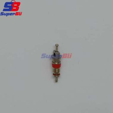 Spuyer Isi Pentil Ban Tubeless