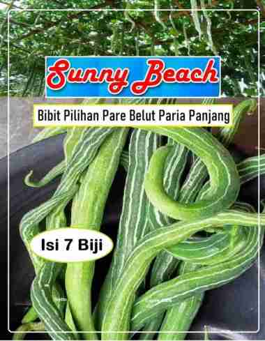 Bibit Pilihan Pare Belut Paria Panjang | Biji Benih Pare Paria Belut