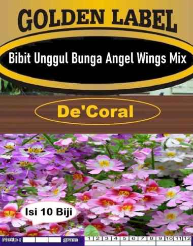 Bibit Unggul Bunga Angel Wings Mix | Benih Bunga Angel Mix