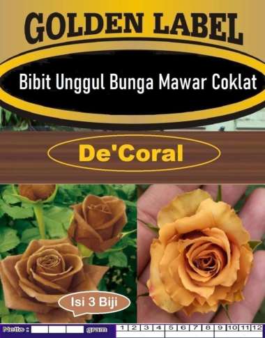 Bibit Unggul Bunga Mawar Coklat | Biji Benih Bunga Mawar Coklat Unik