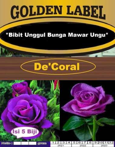Bibit Unggul Bunga Mawar Ungu | Benih Bunga Mawar Ungu | Mawar Purple