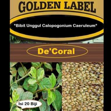 Bibit Unggul Calopogonium Caeruleum | Benih Calopogonium Caeruleum