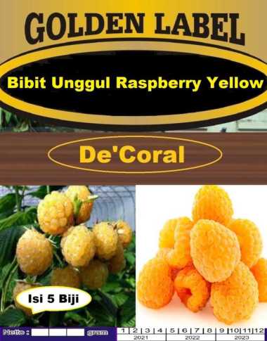 Bibit Unggul Raspberry Yellow| Benih Raspberry Kuning |Bibit Raspberry