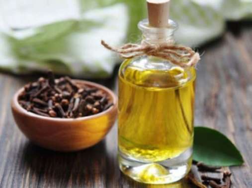 Clove Leaf Essential Oil 100 ml Minyak Atsiri Daun Cengkeh Murni
