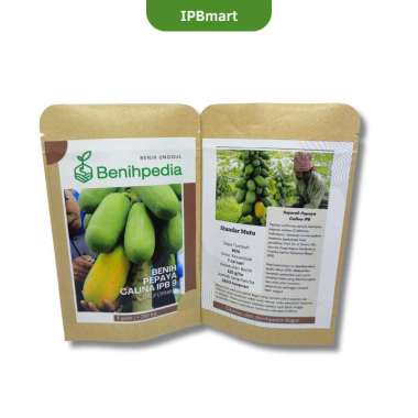Benihpedia Benih Pepaya Calina IPB 9