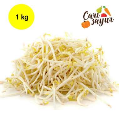 CARI SAYUR - Tauge Bangkok [900gr - 1 kg]