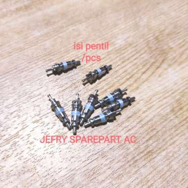 ISI PENTIL SPUYER PENTIL BAN PENTIL AC KULKAS