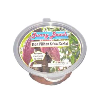 Bibit Pilihan Kakao Coklat Kemasan Cup|Bibit Buah Kakao|Buah Cokelat
