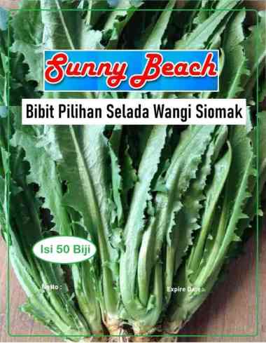 Bibit Pilihan Selada Wangi Siomak | Biji Benih Selada Wangi Siomak