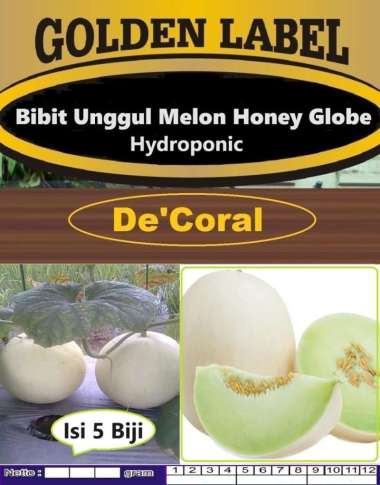 Bibit Unggul Melon Honey Globe Hydroponic | Benih Melon Honey Globe