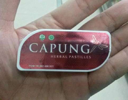 Permen Mint Cap Capung Herbal Pastilles