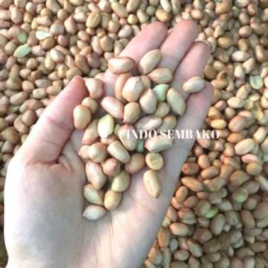 kacang tanah 1kg 1kg