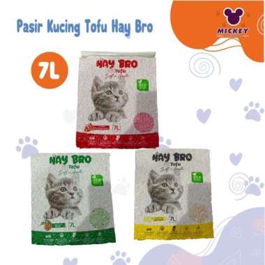 Pasir Kucing Tofu Hay Bro lemon
