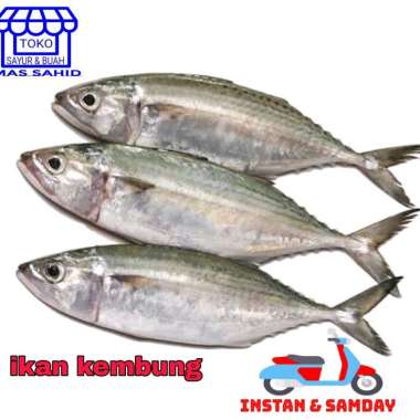 ikan kembung banjar/layang 500 gram
