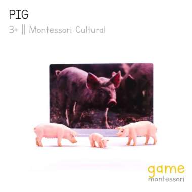 montessori cultural farm animal pig