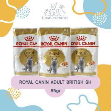 Royal Canin Adult British Shorthair Pouch 85G Wetfood / Makanan Kucing