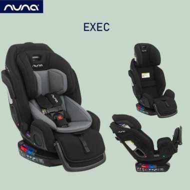 Nuna Exec Carseat / Nuna Carseat Multicolor