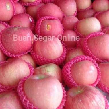 Promo Buah Apel Fuji Murah Manis Segar - 1kg