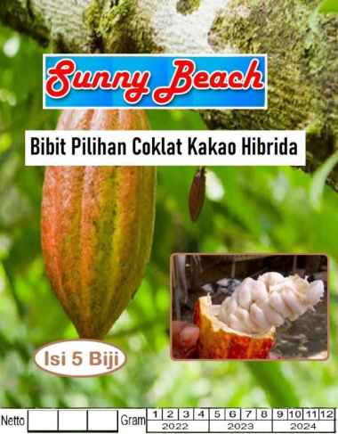 Bibit Pilihan Coklat Kakao Hibrida|Biji Benih Cokelat Kakao Hibrida