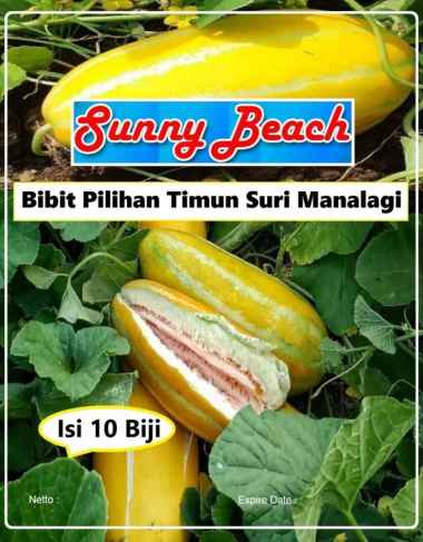 Bibit Pilihan Timun Suri Manalagi | Biji Benih Ketimun Suri Manalagi