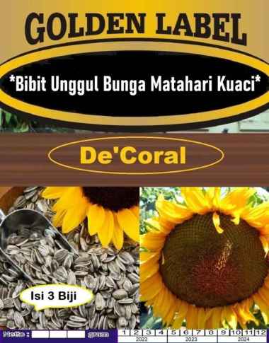 Bibit Unggul Bunga Matahari Kuaci|Sunflower|Benih Bunga Matahari Kuaci