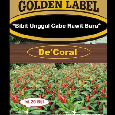Bibit Unggul Cabe Rawit Bara | Benih Cabe Rawit Bara | Cabe Rawit Bara