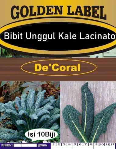 Bibit Unggul Kale lacinato | Biji Benih Kale lacinato |Biji Bibit Kale