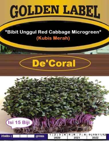 Bibit Unggul Red Cabbage Microgreens |Kubis Merah | Benih Kubis Merah